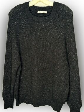 Dex Black Sweater with Metallic Thread nwt